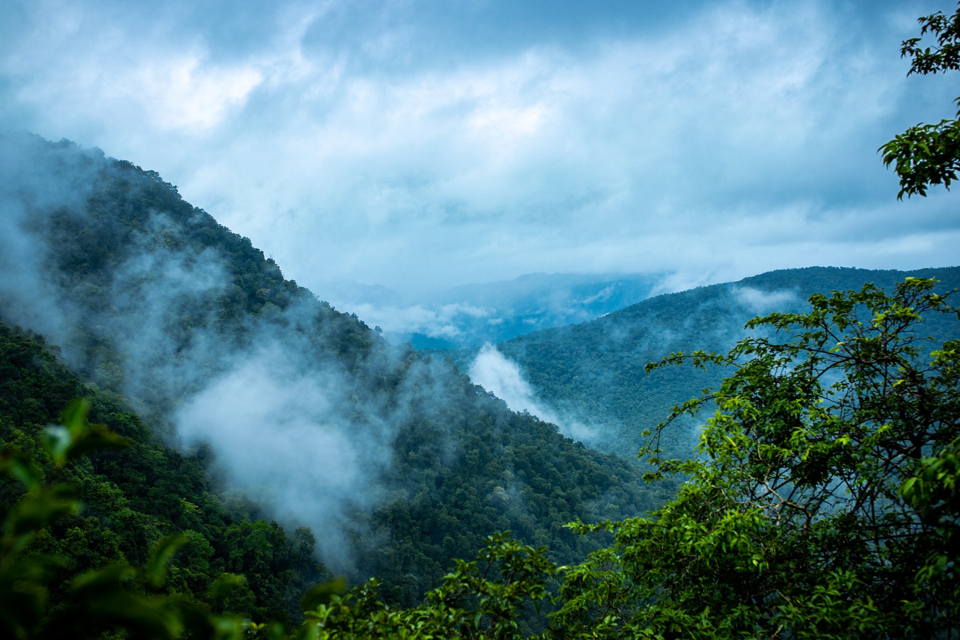 Wiederaufforstung von 30.000m² Regenwald mit „Generation Forest“